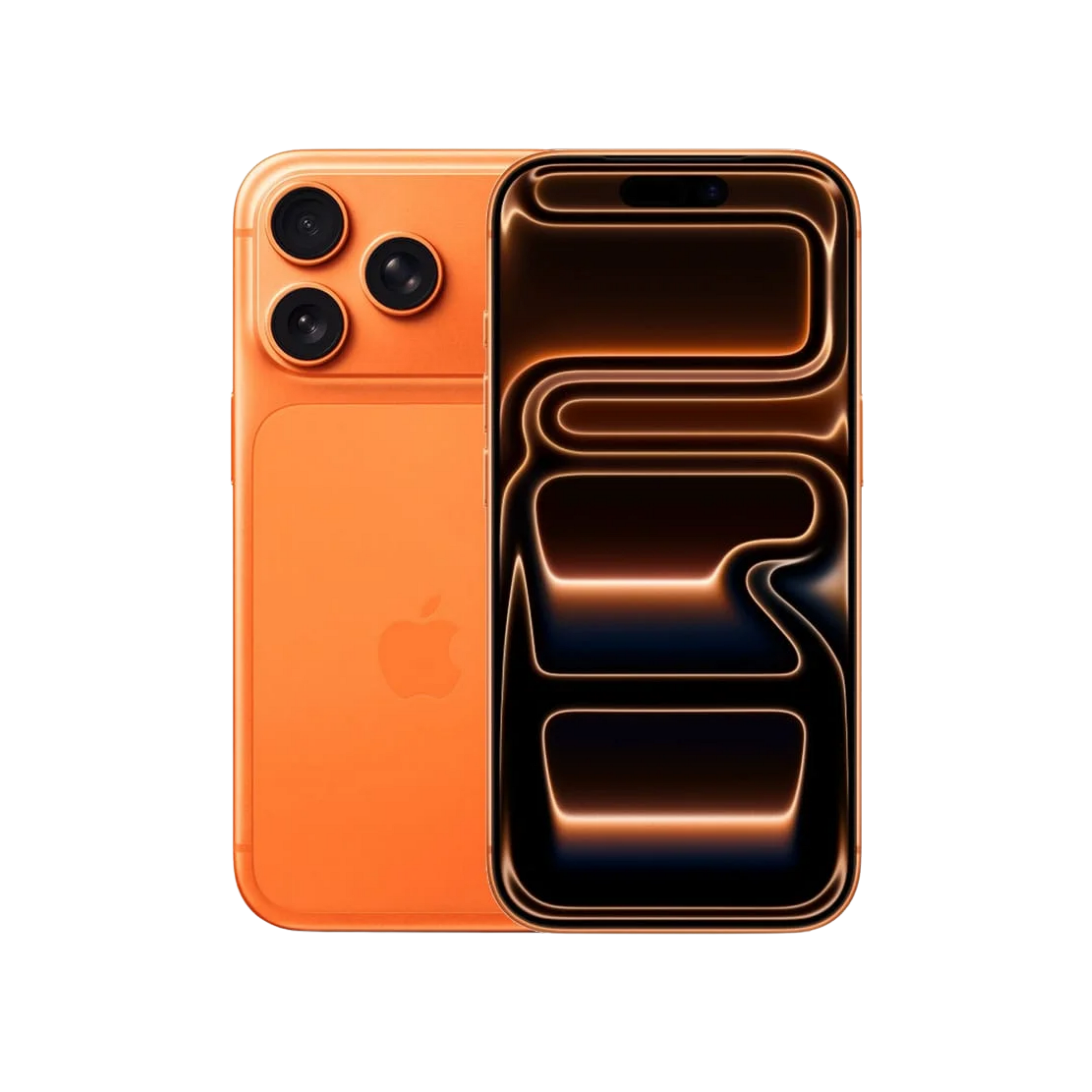 17 PRO MAX CASE (1TB)